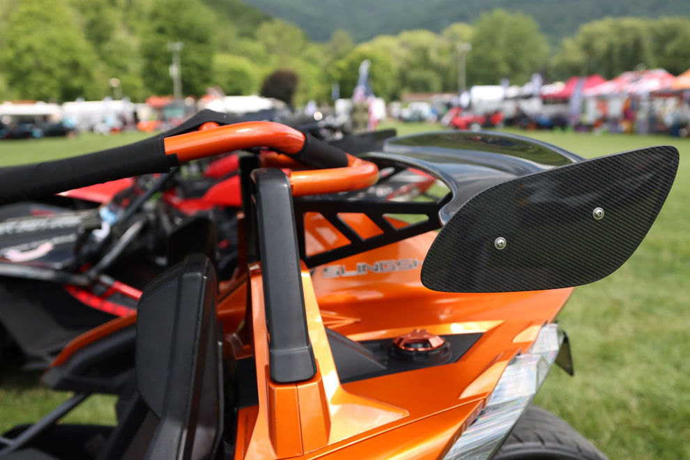 TWIST DYNAMICS REAR CARBON FIBER WING (NO MOUNTING BRACKETS) FOR THE P ...